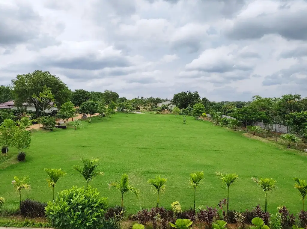 Lawn at The Nature's Elegance, Peddamangalaram, Moinabad